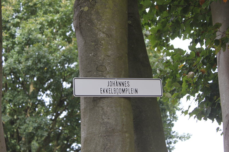 Johannes Ekkelboom