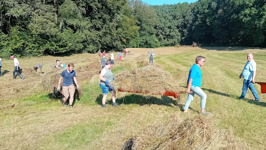 Natuurwerkochtend_7_september_2024_Erve_Middelkamp_foto_ 2