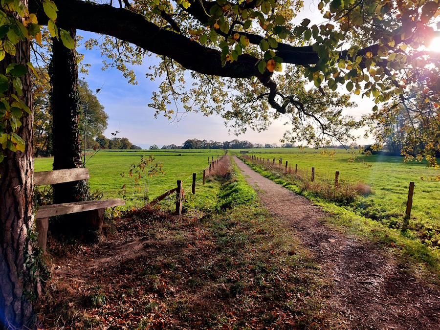 Hakenberg herfst