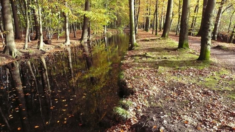 Landgoederen_Oldenzaal_prov_Overijssel