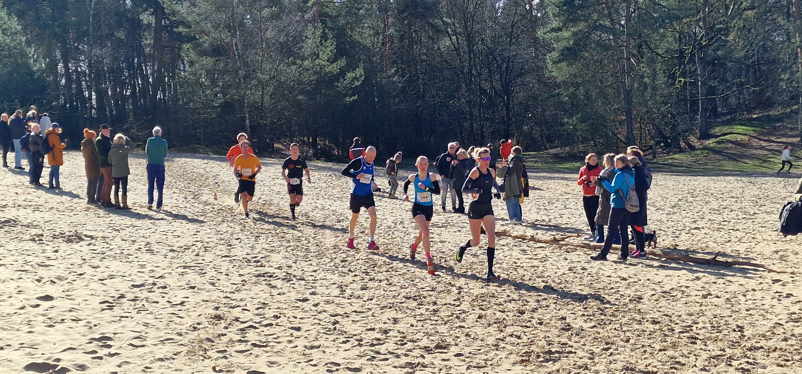 Dinkelcross lopers over het zand