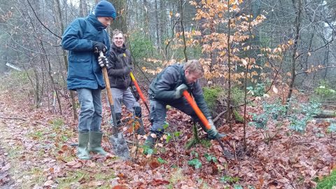 IVN Natuurwerkochtend 28 december 2024 Lonnekerberg foto 3