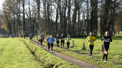 Snertloop 2024 lopers door weiland