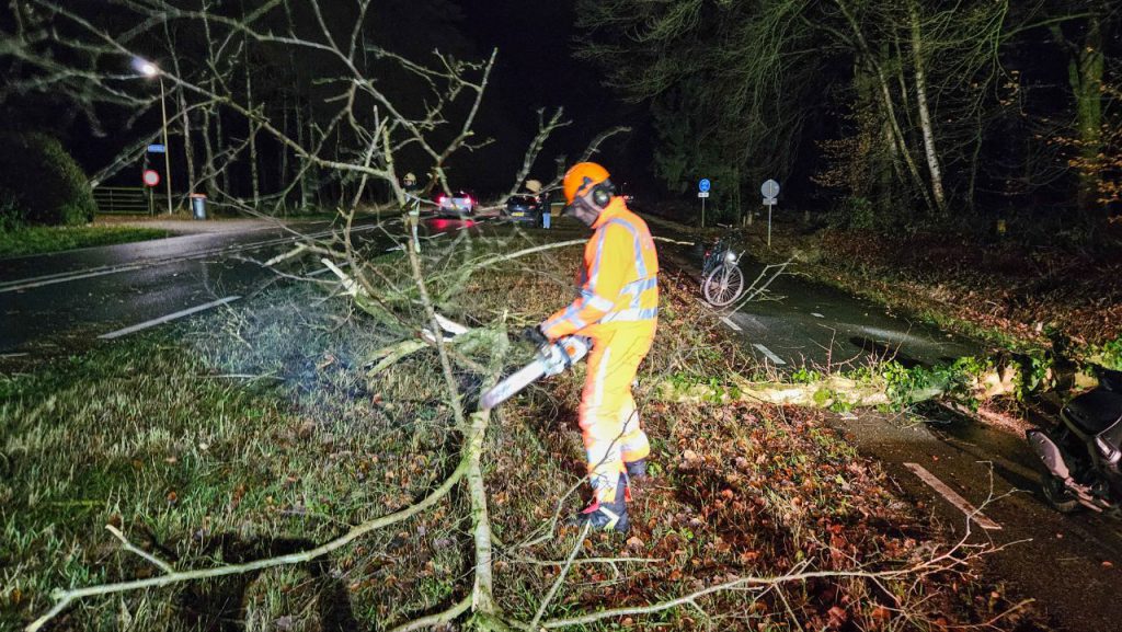 Lossersestraat 060125 boom