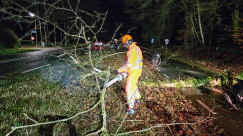 Lossersestraat 060125 boom