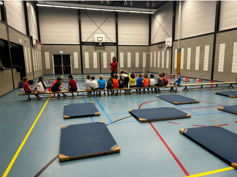 Groepen 3 in Losser maken kennis met hockey