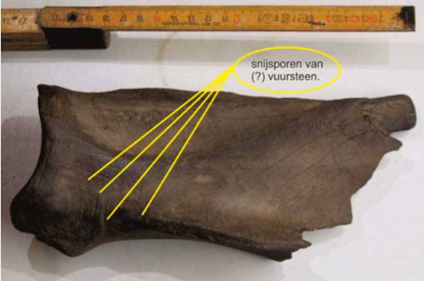 Neanderthalers in Losser!!