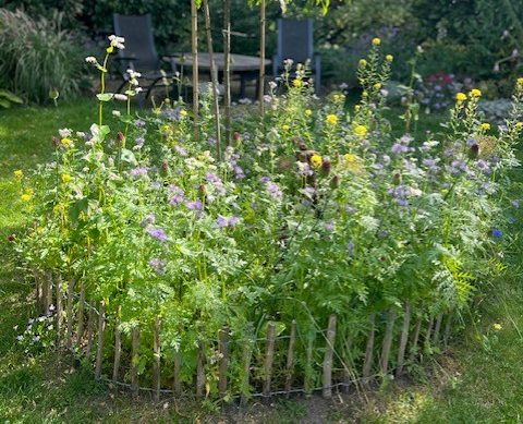 Actie ‘Het Bloemenlint’ versterkt al tien jaar de natuur