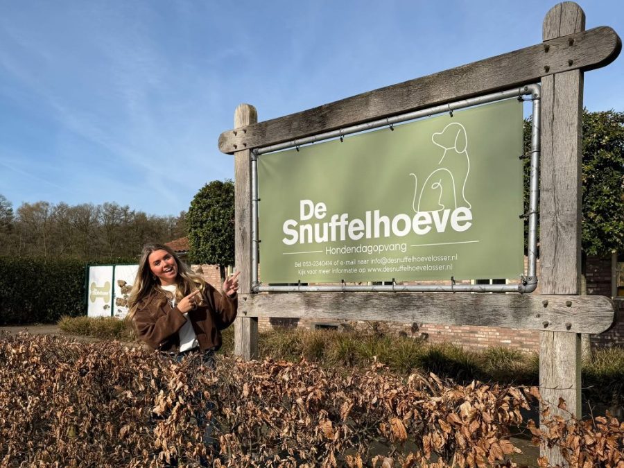 Nu ook in Losser dagopvang honden