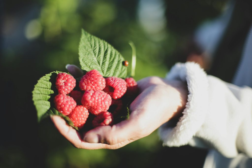 Proef de Natuur in Losser