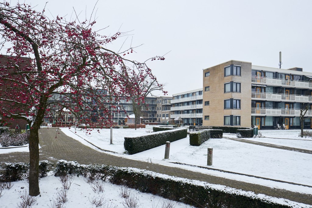 Losser in de sneeuw door Hans Kienhuis