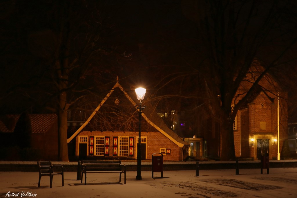 Losser in de sneeuw door Astrid Velthuis