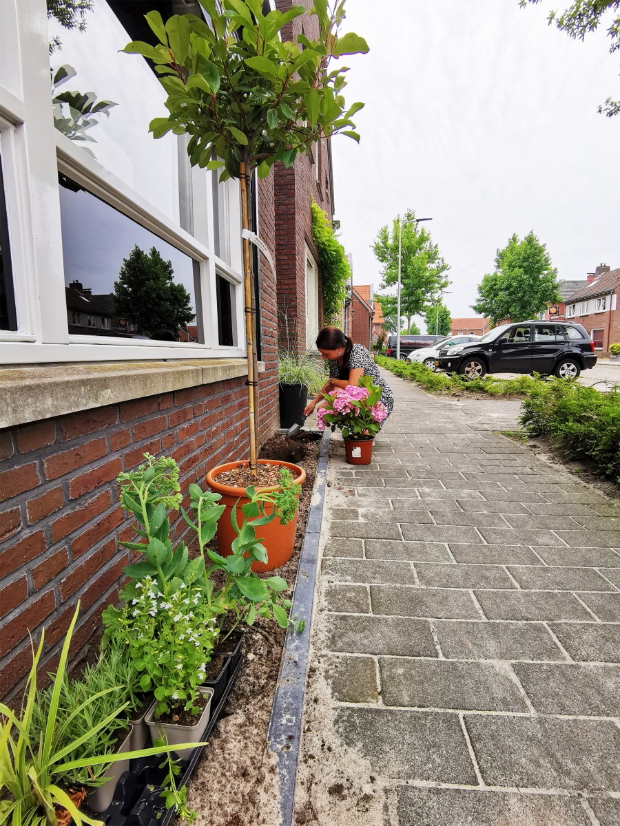 Gratis planten voor stoeptuinen