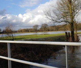 Dinkel buiten de oevers