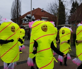 Carnavalsoptocht-2017