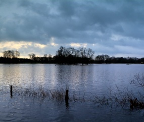 Stijgend Dinkelwater door Astrid Velthuis