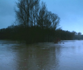 Stijgend Dinkelwater door Astrid Velthuis