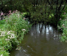 De Ruhenbergerbeek in vol bedrijf. Veel water uit Duitsland moet via deze beek in de Dinkel worden geloosd.