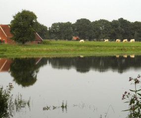 Het dal van de Ruhenbergerbeek tussen Losser en Overdinkel.