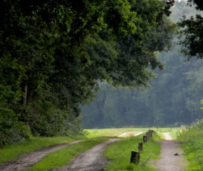 De Glanerbrugdijk vanmiddag. Eén van de vele fietspaden die Losser rijk is.