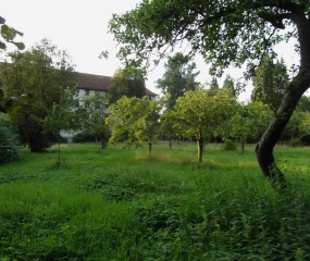 Kloostertuin en pater-kerkhof van Bardel vanavond. Hier heerste een serene rust.