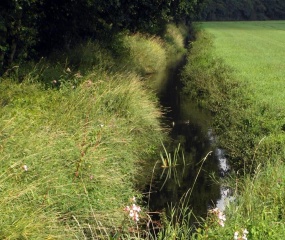 Glanerbeek. Deze voert het water van het Aamsveen af naar de Dinkel. Over grote stukken heeft de beek nog haar natuurlijke loop. 