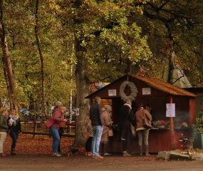 Landgoed fair in de Lutte door Astrid Velthuis