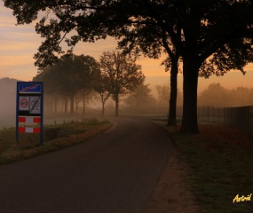 Herfstwandeling Astrid Velthuis