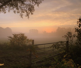 Herfstwandeling Astrid Velthuis