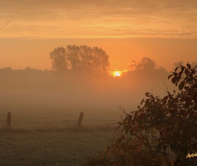 Herfstwandeling Astrid Velthuis