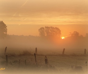 Herfstwandeling Astrid Velthuis