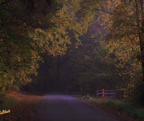 Herfstwandeling Astrid Velthuis