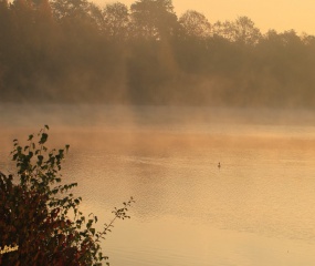 Herfstwandeling Astrid Velthuis