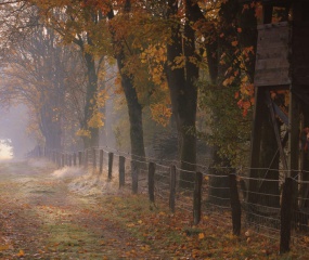 Herfstwandeling Astrid Velthuis