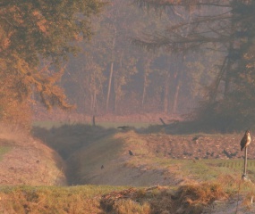 Herfstwandeling Astrid Velthuis