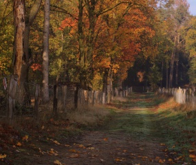 Herfstwandeling Astrid Velthuis