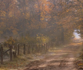 Herfstwandeling Astrid Velthuis