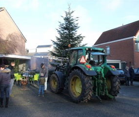 Kerstboom West-Hofkamp