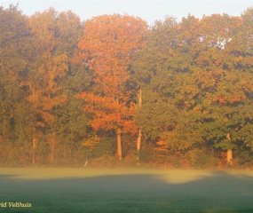 Zondagochtend 15 Okt. 2017 - Astrid Velthuis