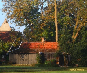 Zondagochtend 15 Okt. 2017 - Astrid Velthuis