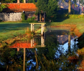 Zondagochtend 15 Okt. 2017 - Astrid Velthuis