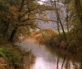 Herfstfoto door Astrid Velthuis