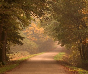 Herfstfoto door Astrid Velthuis