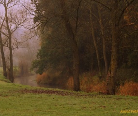 Herfstfoto door Astrid Velthuis