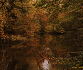 Herfstfoto door Astrid Velthuis