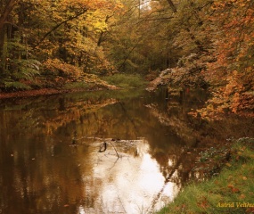 Herfstfoto door Astrid Velthuis