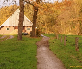 Herfstfoto door Astrid Velthuis