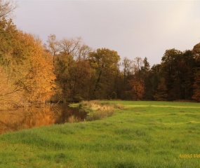 Herfstfoto door Astrid Velthuis