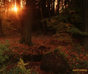 Herfstfoto door Astrid Velthuis