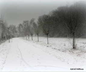 Losser in de sneeuw door Astrid Velthuis